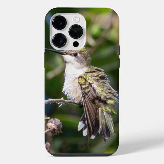 Robijnkeelkolibrie iPhone Hoesje (Achterkant)