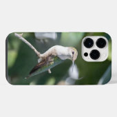 Robijnkeelkolibrie iPhone hoesje (Achterkant horizontaal)
