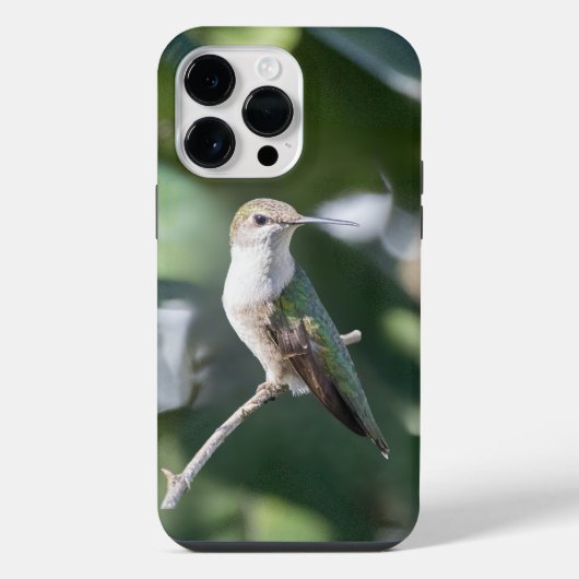 Robijnkeelkolibrie iPhone hoesje (Achterkant)