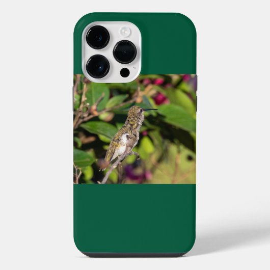 Robijnkeelkolibrie  iPhone hoesje (Achterkant)