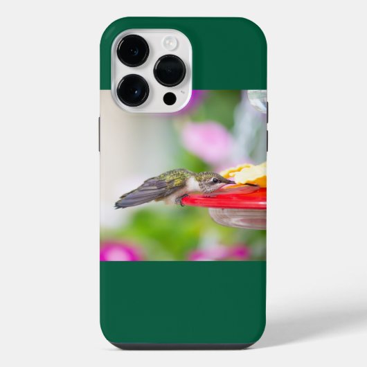Robijnkeelkolibrie iPhone hoesje (Achterkant)