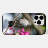 Robijnkeelkolibrie iPhone hoesje (Achterkant horizontaal)