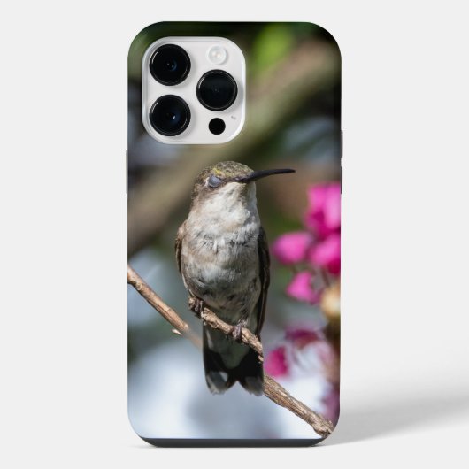 Robijnkeelkolibrie iPhone hoesje (Achterkant)