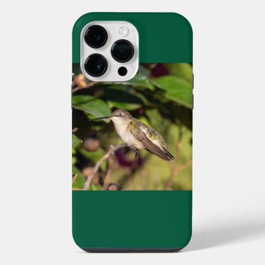 Robijnkeelkolibrie iPhone Hoesje (Achterkant)
