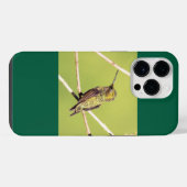 Robijnkeelkolibrie iPhone Hoesje (Achterkant horizontaal)
