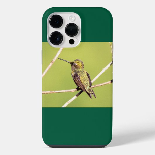 Robijnkeelkolibrie iPhone Hoesje (Achterkant)