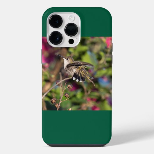 Robijnkeelkolibrie iPhone hoesje (Achterkant)