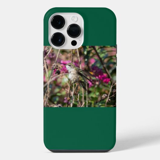 Robijnkeelkolibrie  iPhone hoesje (Achterkant)