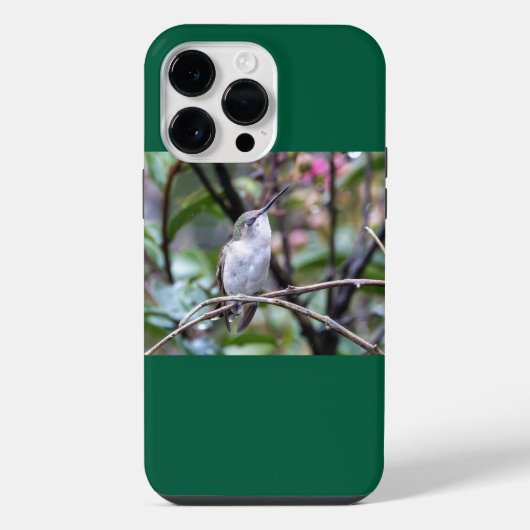 Robijnkeelkolibrie iPhone hoesje (Achterkant)