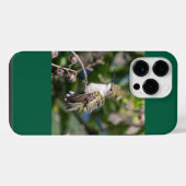 Robijnkeelkolibrie iPhone hoesje (Achterkant horizontaal)