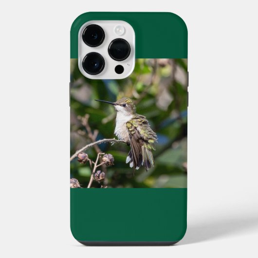 Robijnkeelkolibrie iPhone hoesje (Achterkant)