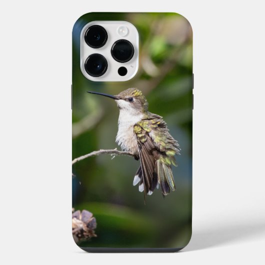 Robijnkeelkolibrie iPhone hoesje (Achterkant)