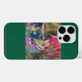 Robijnkeelkolibrie iPhone hoesje (Achterkant horizontaal)