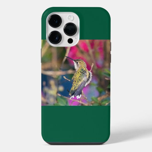 Robijnkeelkolibrie iPhone hoesje (Achterkant)