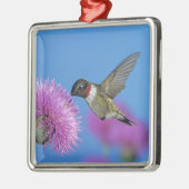 Robijnkeelkolibrie Metalen Ornament (Links)