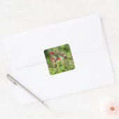 Robijnkeelkolibrie vierkante sticker (Envelop)