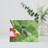 Robijnkeelkolibrie Vogel Fotografie Briefkaart (Staand voorkant)