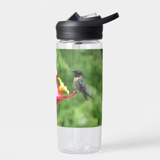Robijnkeelkolibrie Vogel Fotografie Waterfles (Links)