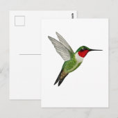 Robijnkolibrie Briefkaart (Voorkant / Achterkant)