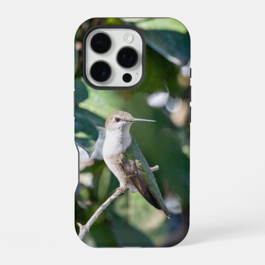 Robijnkolibrie telefoonhoesje Moederdag iPhone Hoesje (Achterkant)