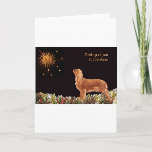 Robijnrode Arrogante Kerstmis Feestdagen Kaart (Voorkant)