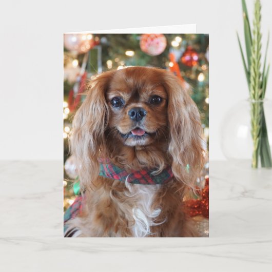 Robijnrode Kerstmis Feestdagen Kaart (Voorkant)