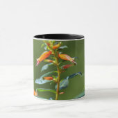 Robijnrode kolibrie "in Cuphea" Mok (Midden)