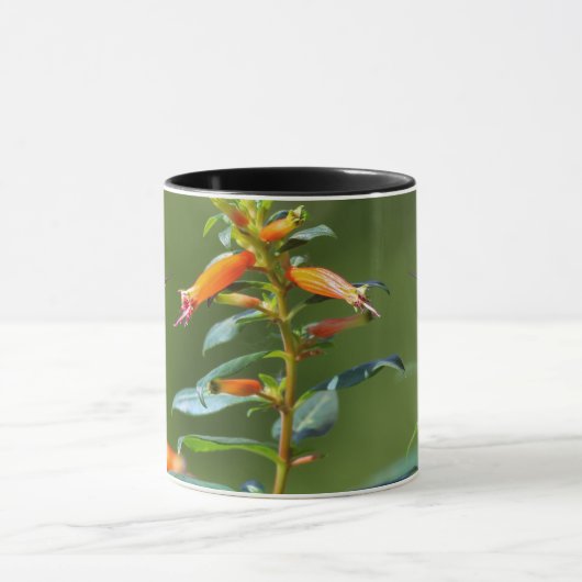 Robijnrode kolibrie "in Cuphea" Mok (Midden)