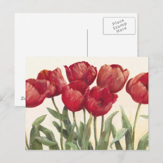 Robijnrode Tulpen Briefkaart (Voorkant / Achterkant)
