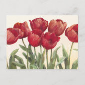 Robijnrode Tulpen Briefkaart (Voorkant)