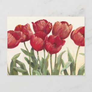 Robijnrode Tulpen Briefkaart