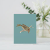 Robijnrood-Bekroonde Kinglet (Regulus calendula) Briefkaart (Staand voorkant)