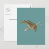 Robijnrood-Bekroonde Kinglet (Regulus calendula) Briefkaart (Voorkant / Achterkant)