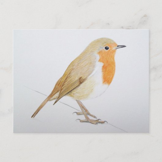 Robin 2011 briefkaart (Voorkant)