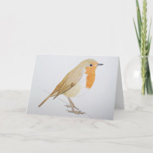 Robin 2011 feestdagen kaart