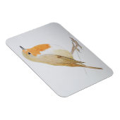 Robin 2011 magneet (Rechterzijde)