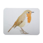 Robin 2011 magneet (Horizontaal)