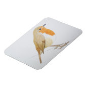 Robin 2011 magneet (Linkerzijde)