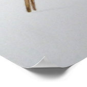 Robin 2011 poster (Hoek)