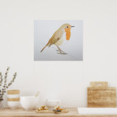 Robin 2011 poster (Keuken)