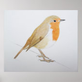 Robin 2011 poster (Voorkant)