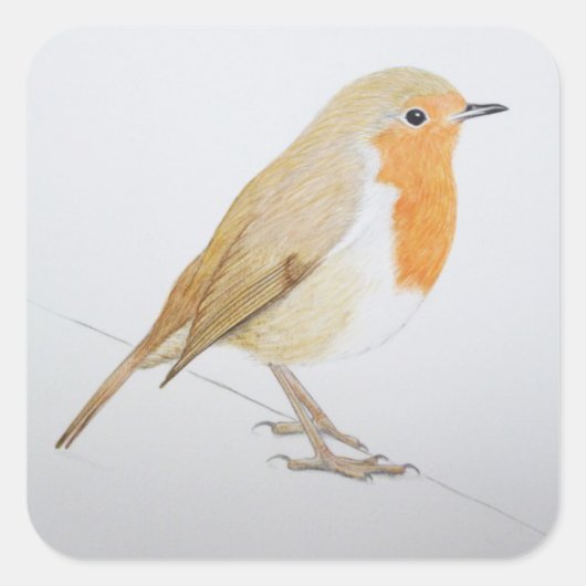 Robin 2011 vierkante sticker (Voorkant)