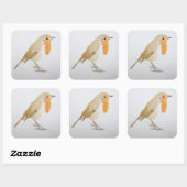 Robin 2011 vierkante sticker (Vel)