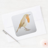 Robin 2011 vierkante sticker (Envelop)