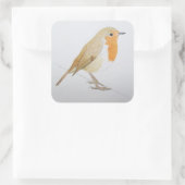 Robin 2011 vierkante sticker (Tas)