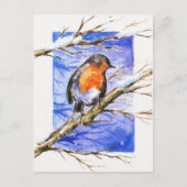 Robin 3 briefkaart (Voorkant)
