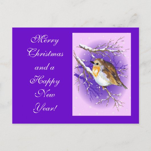 Robin 3 postacard feestdagenkaart (Voorkant)