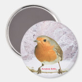 Robin afbeelding voor Large Round Magnet (Voorkant / Achterkant)