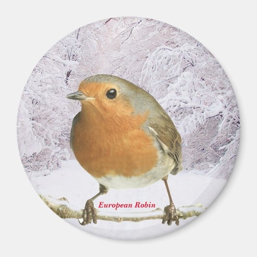 Robin afbeelding voor Large Round Magnet (Voorkant)