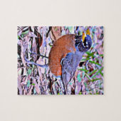 Robin (Amerikaanse Robin) Legpuzzel (Horizontaal)